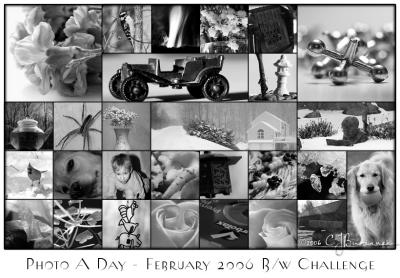 February 2006 Collage