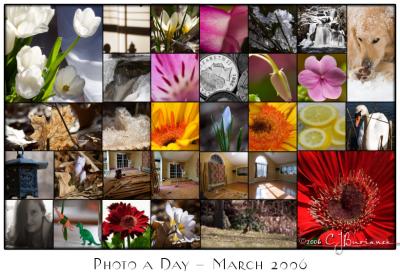 March 2006 Collage