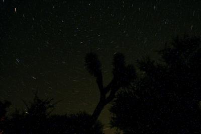 g3/87/506087/3/54666024.joshSTARtrailc.jpg