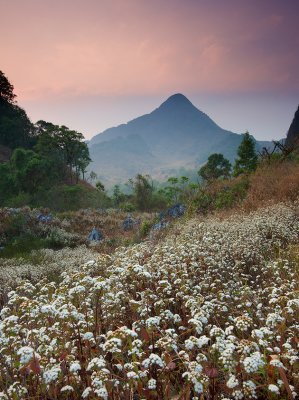 The Nature in Thailand Part III The Romance in Paradise