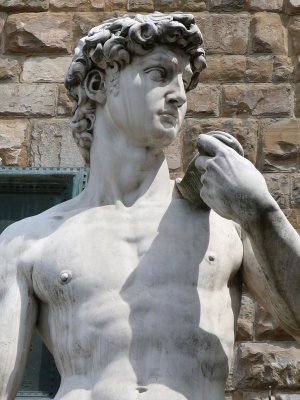 head detail of the david outside palazzo vecchio (R)