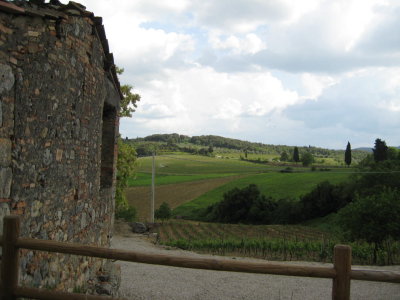 view of tuscany from winery-fattoria san donato (G)