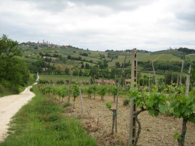 road from farmhouse to san gimignano (G)