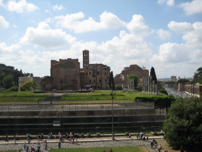 view of palatine hill and roman forum (G)