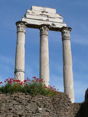 columns in roman forum (R)
