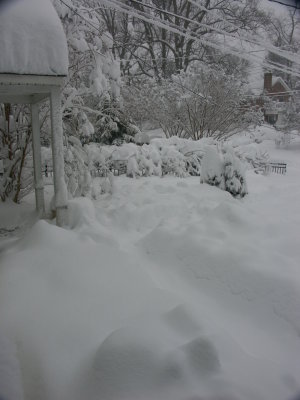 front yard deep with snow