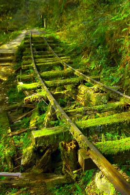 The Ancient Railway on Mt. Taping