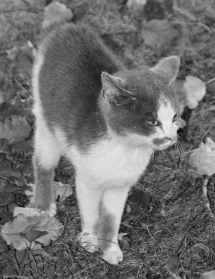 IMG_4053_DXO.jpg