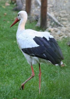 IMG_4942_DXO.jpg