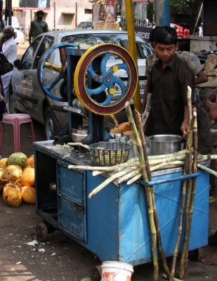 IMG_2692_DxO.jpg