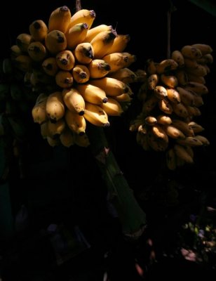 IMG_8766_DxO.jpg