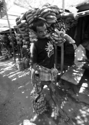 IMG_8768_DxO.jpg