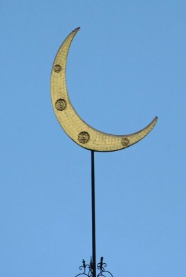 IMG_5561_DxO.jpg