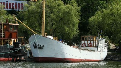 IMG_5596_DxO.jpg
