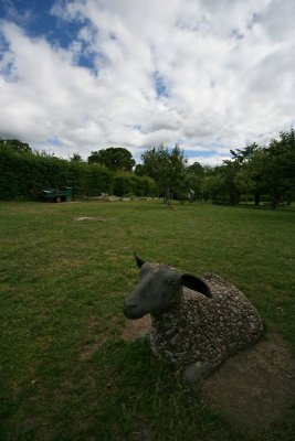 IMG_6007_DxO.jpg