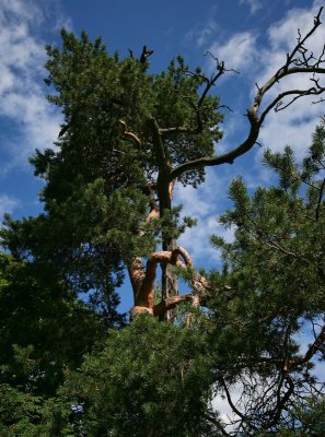 IMG_6074_DxO.jpg