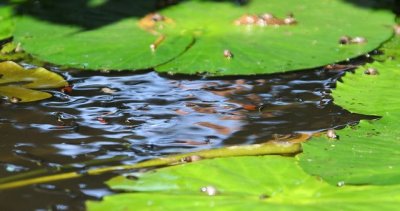 IMG_91150_DXO.jpg