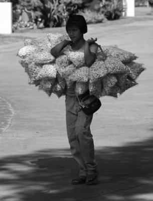 IMG_9378_DXO.jpg