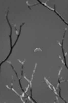 IMG_9382_DXO.jpg