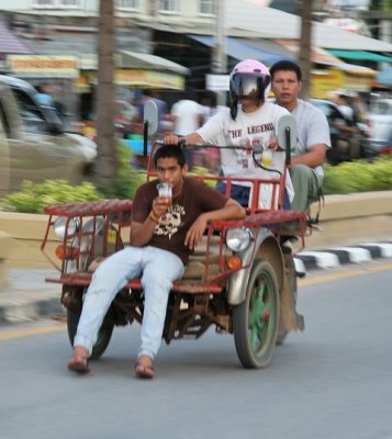 Chiang Mai Insectes