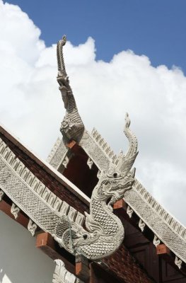 IMG_9929_DXO.jpg