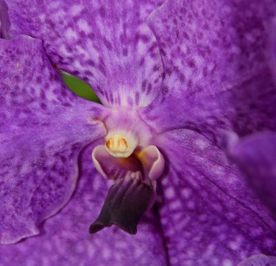 IMG_0010_DXO.jpg