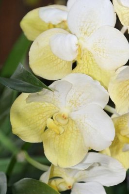 IMG_0014_DXO.jpg