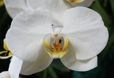 IMG_0017_DXO.jpg