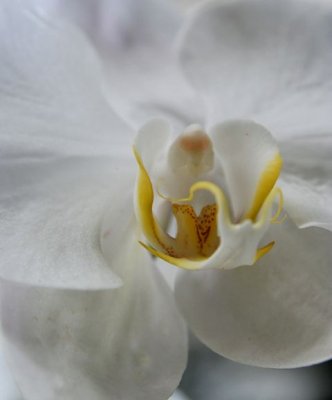 IMG_0019_DXO.jpg