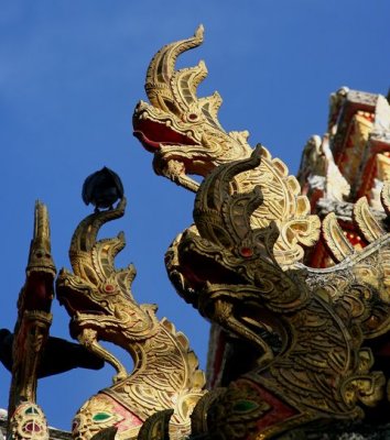 IMG_9988_DXO.jpg