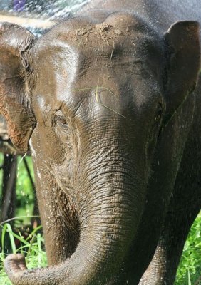 IMG_0278_DXO.jpg