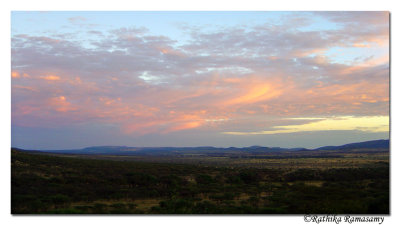 Morning Serengeti