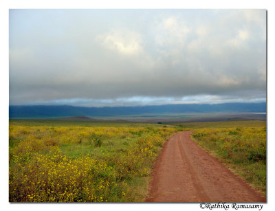 Way to crater(Ngorongoro)