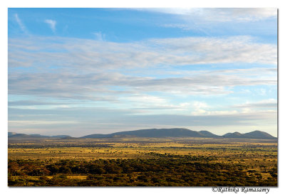 Serengeti Plains