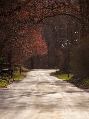 Spring Road