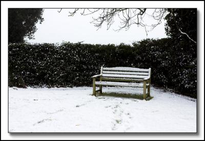 8679  Bench in the snow