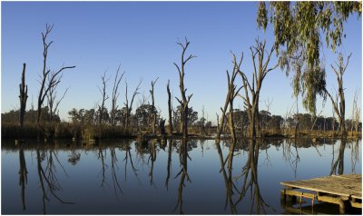 Gunbower Creek