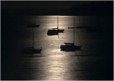 Corio Bay By Moonlight