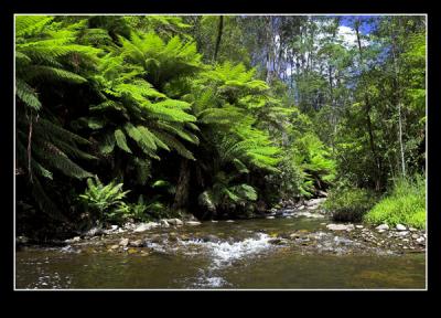 Badger Weir