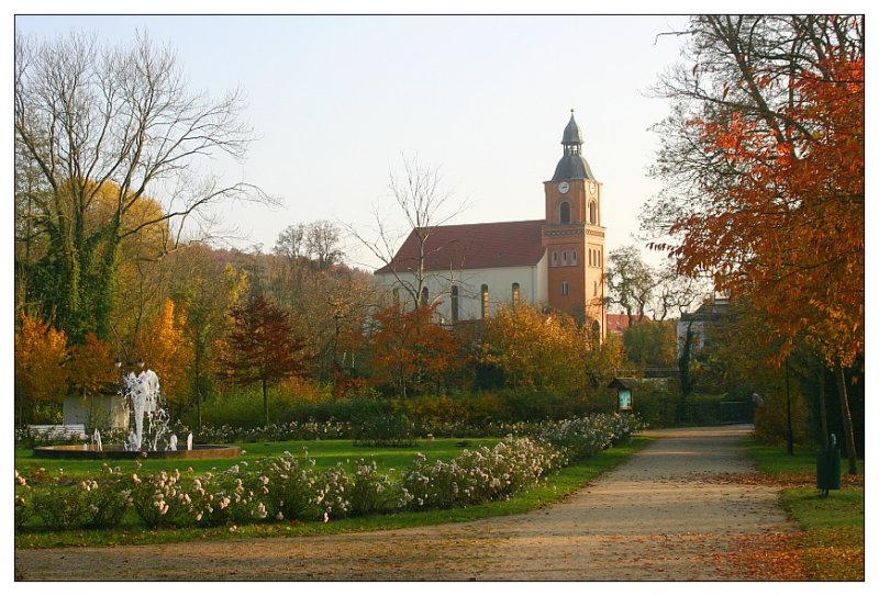 Herbst im Park