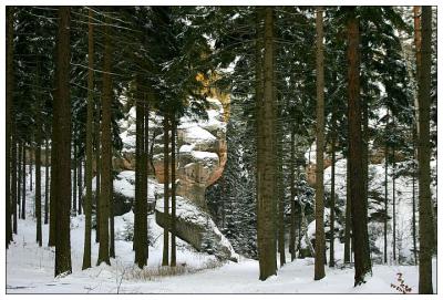 Winter in the Zittau hills