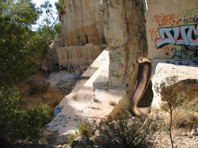 g3/87/590687/3/57650644.Serpent2.jpg