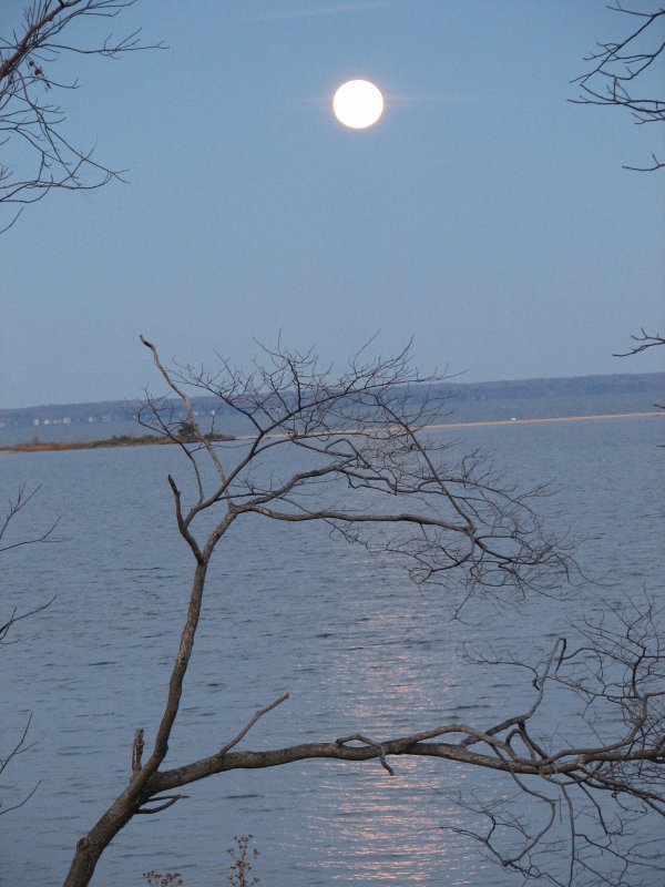 Glowing moonrise