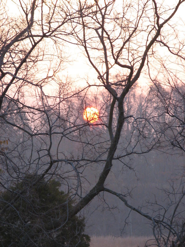 Foggy sunrise
