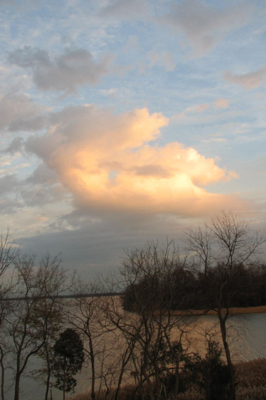 Cloudy morning