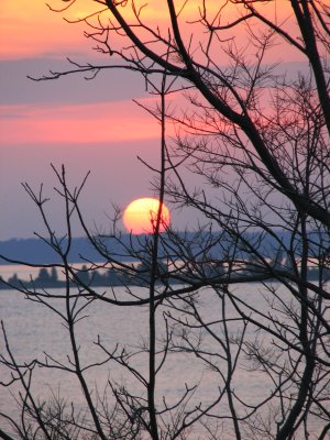 A pastel sunrise...