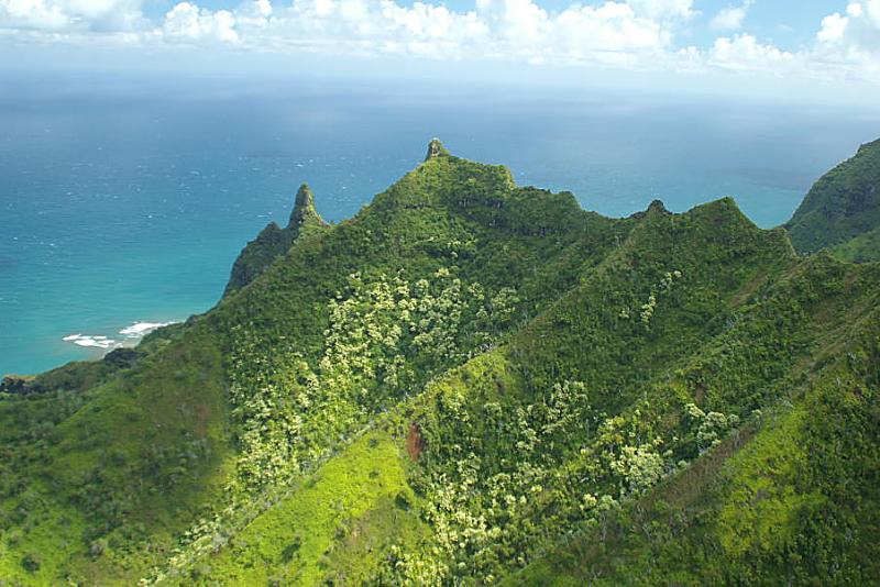 Kauai Helecopter View