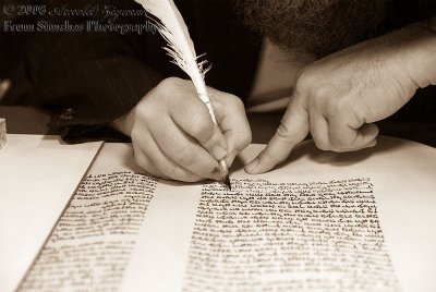 C.A.Y.C. Siyum Sefer Torah