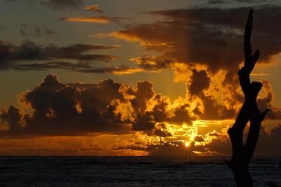 Kauai Sunrise