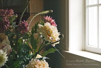 Flowers by the window